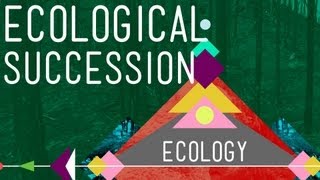 Ecological Succession Change is Good  Crash Course Ecology 6 [upl. by Ettecul]