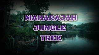 Anandapur Maharajah Jungle Trek  Disneys Animal Kingdom [upl. by Naol179]