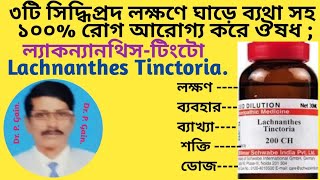 354 ল্যাকন্যানথিস টিংটো কাঁধে ব্যথার উৎকৃষ্ট ঔষধ Lachnanthes Tinc best remedy for shoulder pain [upl. by Endaira]