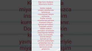 Kediler Neden Miyavlar bilgikartı fypシ゚viral tutsunartık [upl. by Edyth]