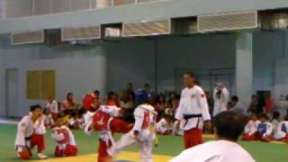 sikaran vs taekwondo [upl. by Pepin]