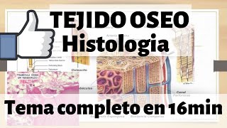 TEJIDO ÓSEO Histologia  hueso esponjoso y compacto MEJOR EXPLICADO [upl. by Rafael]