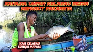 UMPAN JITU MANCING IKAN KELABAU  Mancing Ikan Kelabau Besar [upl. by Eiramacissej87]