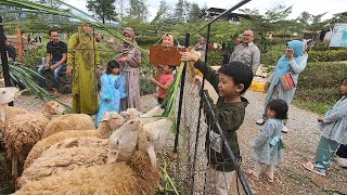 Liburan Bersama Keluarga Besar Beri Makan Sapi Kelinci Ayam Domba Kambing [upl. by Anenahs709]