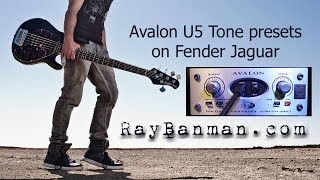 Fender Jaguar Bass through Avalon U5 [upl. by Immanuel]