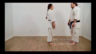 Sanchin kihon renzoku kumite Karatédo gojuryu Okinawa EM [upl. by Darian]