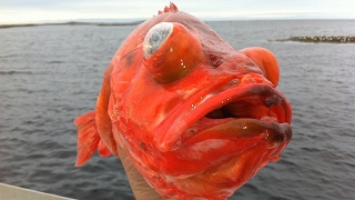 Angeln in Norwegen  Havfiskesenter Smöla [upl. by Furr]