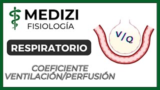 Clase 40 Fisiología Respiratoria  Coeficiente Ventilación Perfusión VQ IGdoctorpaiva [upl. by Nanreh]