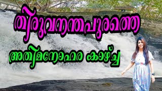 Meenmutty WaterFalls  Trivandrum  Kerala Tourism  India  aswathysijin [upl. by Hutt]