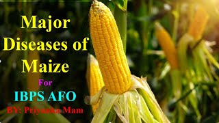 Major Diseases of Maize IBPS AFO [upl. by Othilia617]