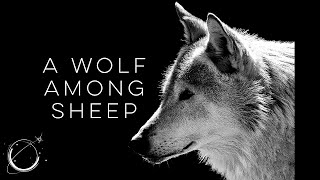 A Wolf Among Sheep  Motivational Video [upl. by Bernhard]