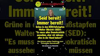 Grünen Bundeskanzler taskforce Afd BSW thüringen sachsen DDR SED demokratie putin schutz [upl. by Ylak22]