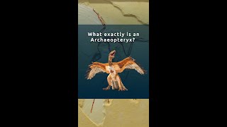 What Exactly Is an Archaeopteryx [upl. by Cattan]