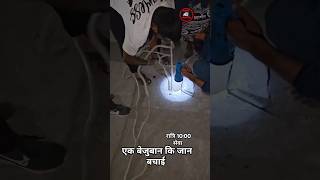 20 फुट गहरे पाईप में फसे छोटे dog 🐕 कि जान बचाईcowdogsrescueshortsreels [upl. by Ainat427]