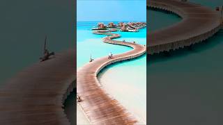 Incredible Maldives is this Realshort [upl. by Eed701]