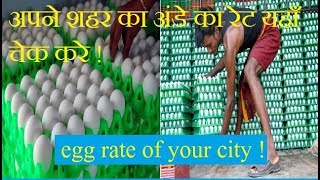 अपने शहर का अंडे का रेट यहाँ चेक करे  egg rate  abhishek singh poultry india [upl. by Ylra]