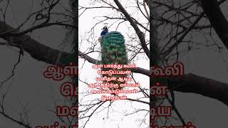 Life line tamil quotes lordmurugan life [upl. by Cattan]