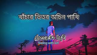 Khachar Bhitor Ochin Pakhi  slowedLofi🎶 feelinwithlofi [upl. by Albin]