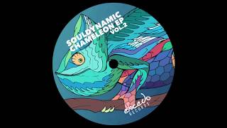 Souldynamic  Akinesia Chameleon EP Vol2  Excedo Records [upl. by Ibloc555]