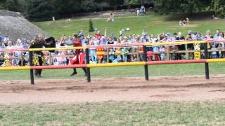 Warwick Castle  Jousting [upl. by Fabrin]