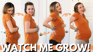 WEEK BY WEEK PREGNANCY PROGRESSION 4  20 WEEKS  1st Half of Pregnancy Belly Progression [upl. by Kuebbing326]