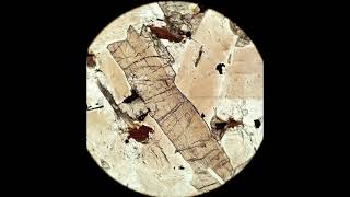 Orthopyroxene tutorial Optical mineralogy [upl. by Barhos]