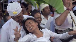 Barong Dance in Bali Scary  real trance and animal behaviour [upl. by Oigroeg]