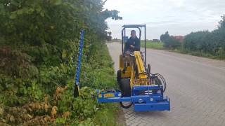 Knikmops 100 telescoop hedge cutting [upl. by Rowney336]