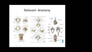 Cervical Spondylotic Myelopathy [upl. by Assin]