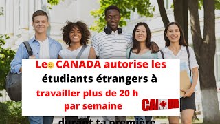 Très bonne nouvelle  Les CANADA autorise les étudiants étrangers à travailler plus de 20 h semaine [upl. by Arvin]