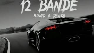 12 BANDE SONG SLOWEDREVERB viral youtubeshorts sonymusic tseries youtube [upl. by Massab]