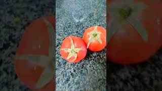 Tomatoes 🍅 tomato shorts [upl. by Outlaw]