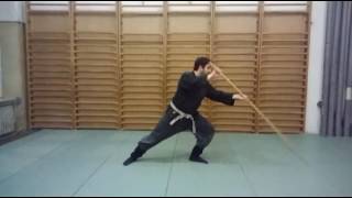 kukishinden ryu bojutsu goho [upl. by Westland]