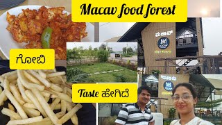 Macaw food forest review ಸಂಜೆ ಹೊತ್ತಲ್ಲಿ ಮಳೇಲಿ KIADB round ಹಾಕೋದು ಎಷ್ಟು ಮಜಾ [upl. by Davidoff]