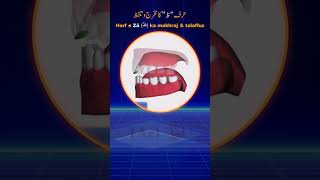 How to pronounce Zua  ظ  letter in Arabic  Arabic Alphabet Pronunciation  quran tajweed [upl. by Oalsinatse]