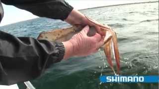 How to catch Squid quotPart 1quot  SHIMANO FISHING [upl. by Eeldivad]