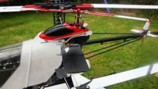 Bali´s Heli Flotte Juni 09 vom Walkera 4g3 Alu Brushless bis Schlüter Scout 60 [upl. by Oona227]