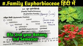 Family Euphorbiaceae in Hindi  BSc 2nd year Botany Third Semester [upl. by Lavern821]