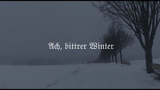 Ach bittrer Winter  Winter amp Weihenachtslieder  Gitarrenlaute  Lied amp Text [upl. by Raimondo648]