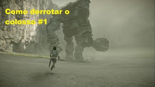 SHADOW OF THE COLOSSUS PS4  COMO MATAR O PRIMEIRO COLOSSO [upl. by Sherie73]