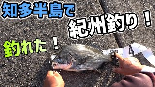 愛知県知多半島で紀州釣り！「黒鯛」 [upl. by Pippy873]