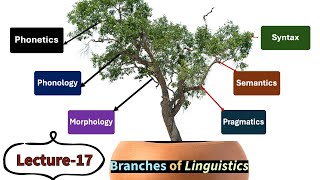 Lecture17 Branches of Linguistics Phonetics Phonology Morphology Syntax Semantics etc [upl. by Trebled274]