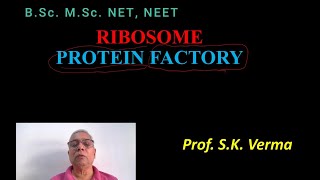 RIBOSOME STRUCTURE AND FUNCTION [upl. by Denison]