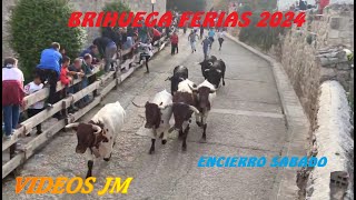 Encierro Ferias Brihuega 191024 [upl. by Sven387]