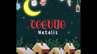 Natalis  Coquito Official Lyric Video [upl. by Larina]