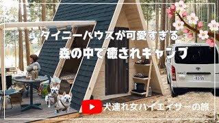 Ground Rock Castle でタイニーハウス泊 森の中で癒されキャンプ 犬連れハイエース旅 [upl. by Territus]