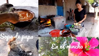 VLOG HICE SOPA DE PAPA PARA MI PAPÁ  CORTANDO LOS PINZANES EN EL RANCHO [upl. by Aicener]