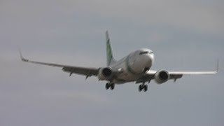 Diverse Vliegtuigen Landen met Extreem harde Wind op Rotterdam Airport [upl. by Yrak186]