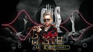 ដូចមេ LIKE A BOSS 2024 ARS Remix MESA ft VANNDA 😎 [upl. by Akimert]