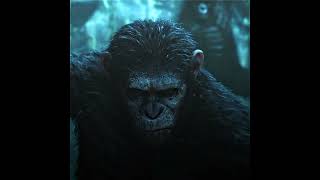 Caesar Planet of the Apes Edit 1080p aedll on TikTok [upl. by Michey]